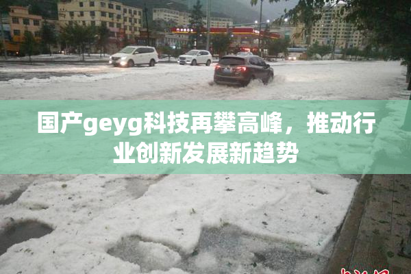 国产geyg科技再攀高峰，推动行业创新发展新趋势