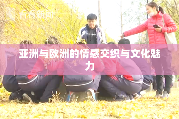 亚洲与欧洲的情感交织与文化魅力