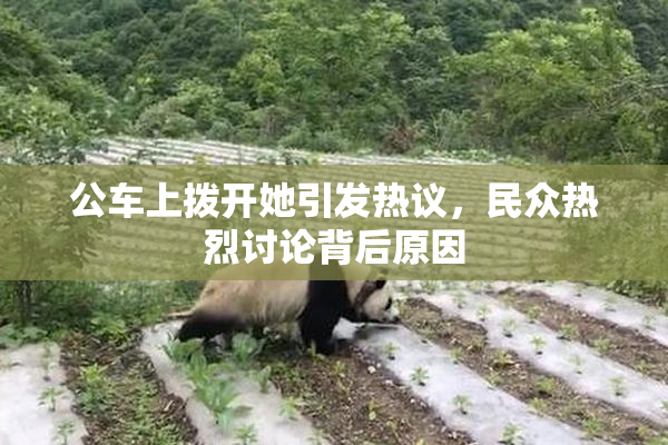 公车上拨开她引发热议，民众热烈讨论背后原因