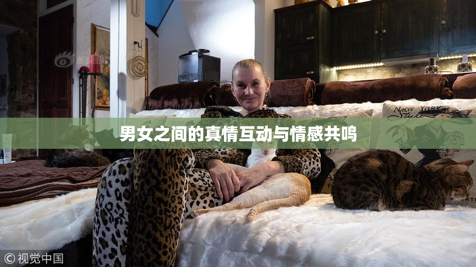 男女之间的真情互动与情感共鸣