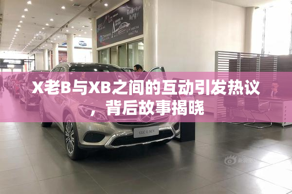 X老B与XB之间的互动引发热议，背后故事揭晓