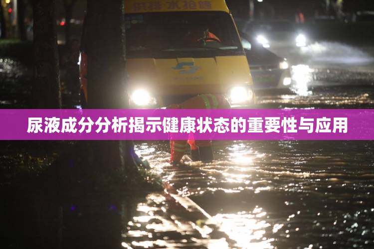 尿液成分分析揭示健康状态的重要性与应用