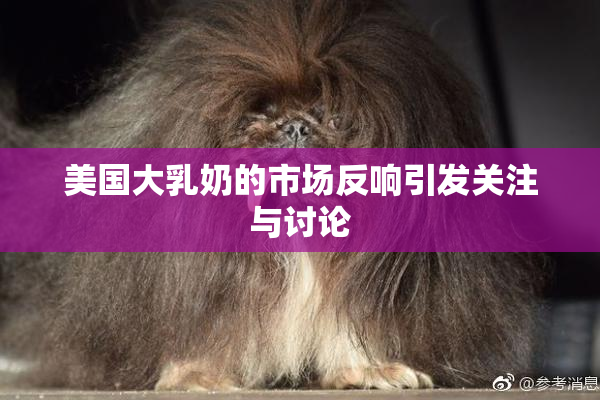 美国大乳奶的市场反响引发关注与讨论