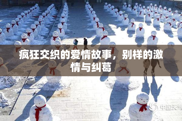 疯狂交织的爱情故事，别样的激情与纠葛