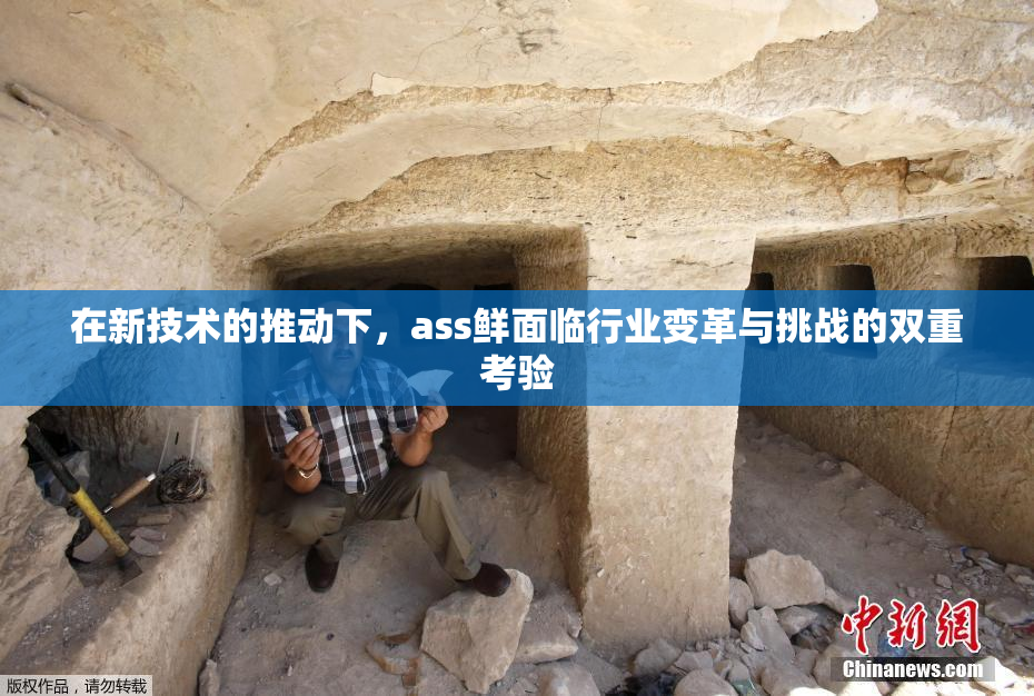 在新技术的推动下，ass鲜面临行业变革与挑战的双重考验