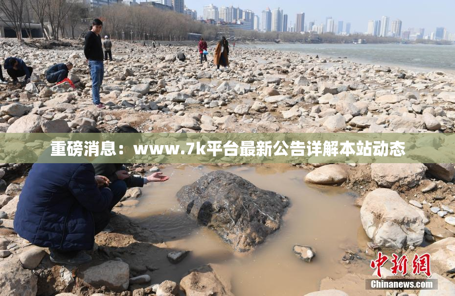 重磅消息：www.7k平台最新公告详解本站动态