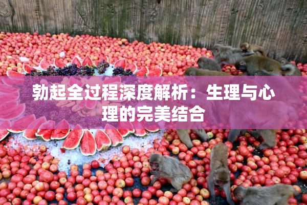 勃起全过程深度解析：生理与心理的完美结合