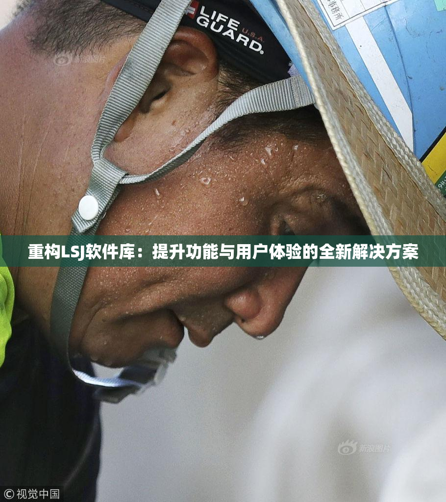 重构LSJ软件库：提升功能与用户体验的全新解决方案