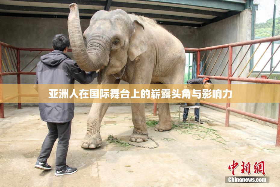 亚洲人在国际舞台上的崭露头角与影响力