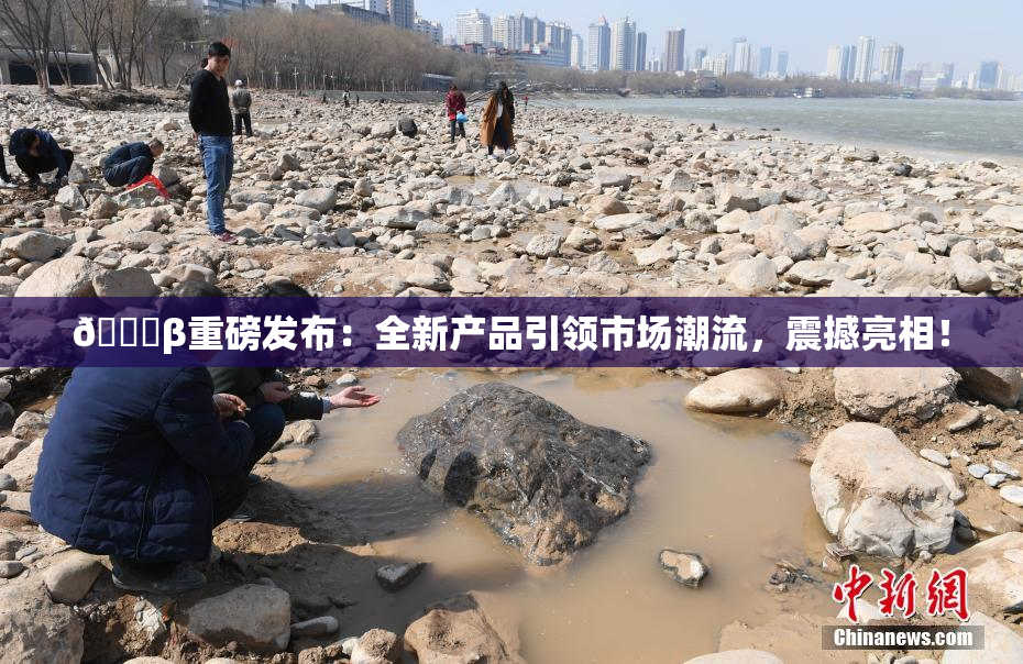 🔞β重磅发布：全新产品引领市场潮流，震撼亮相！