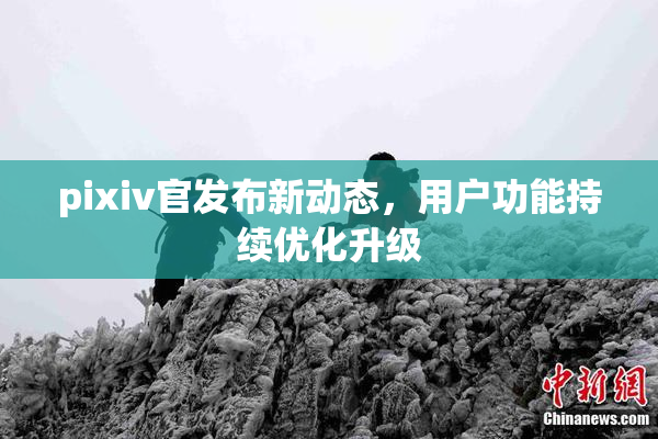 pixiv官发布新动态，用户功能持续优化升级