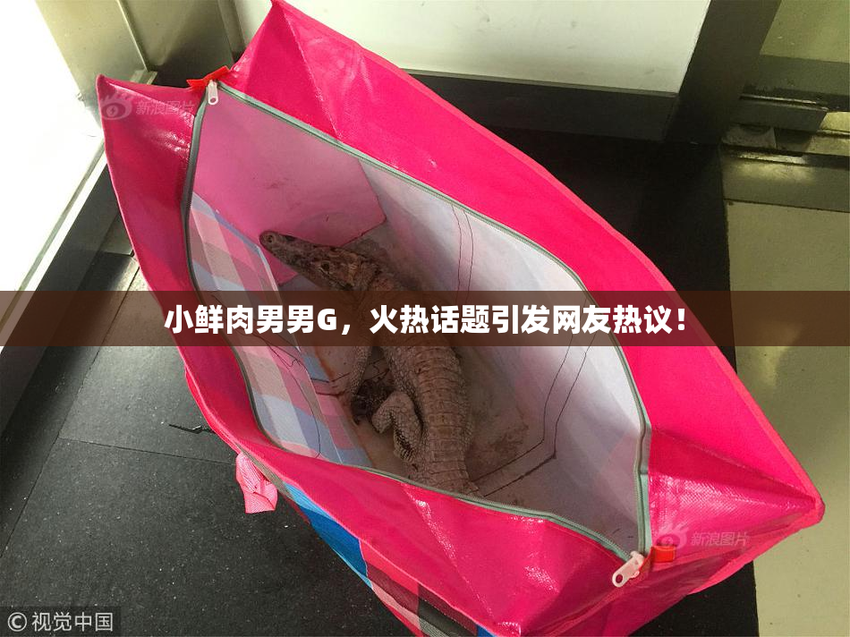 小鲜肉男男G，火热话题引发网友热议！