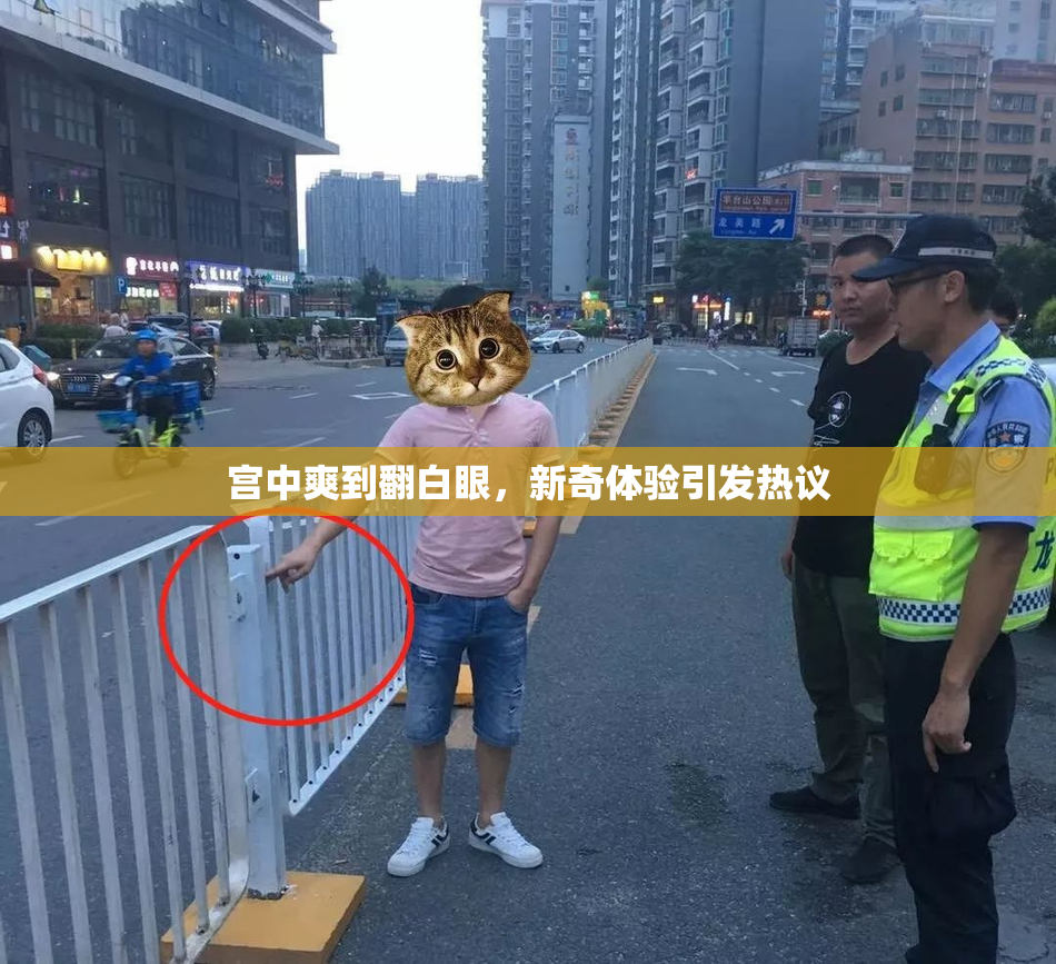宫中爽到翻白眼，新奇体验引发热议
