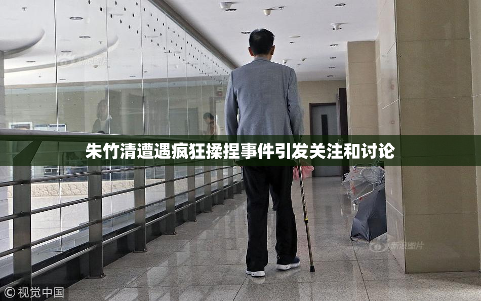朱竹清遭遇疯狂揉捏事件引发关注和讨论