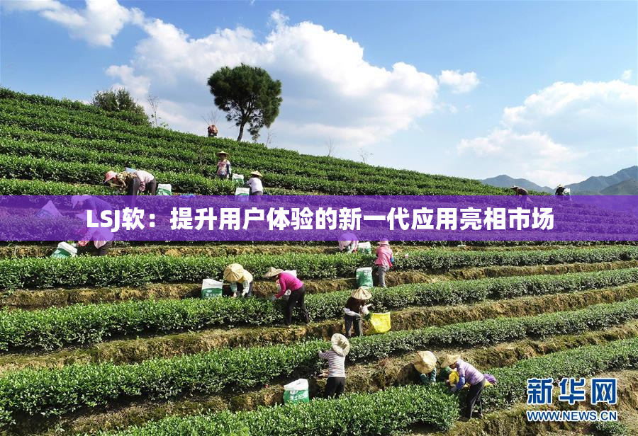 LSJ软：提升用户体验的新一代应用亮相市场