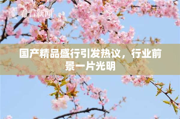 国产精品盛行引发热议，行业前景一片光明