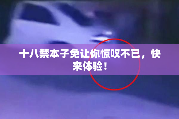 十八禁本子免让你惊叹不已，快来体验！