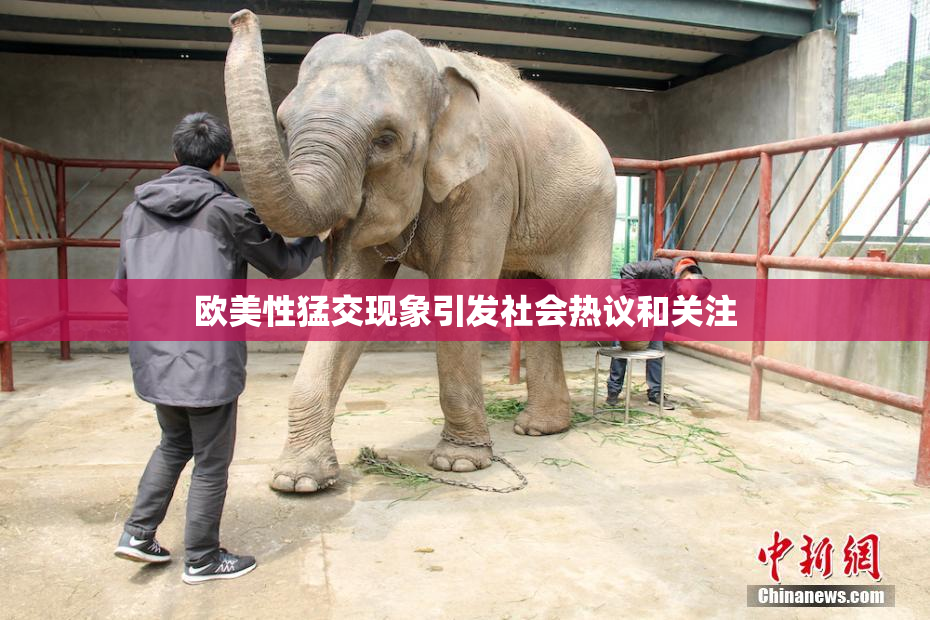 欧美性猛交现象引发社会热议和关注