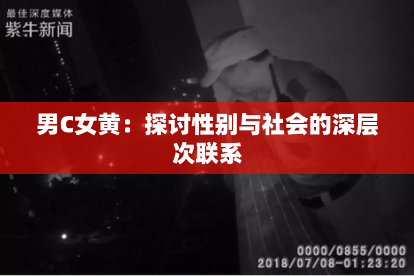 男C女黄：探讨性别与社会的深层次联系