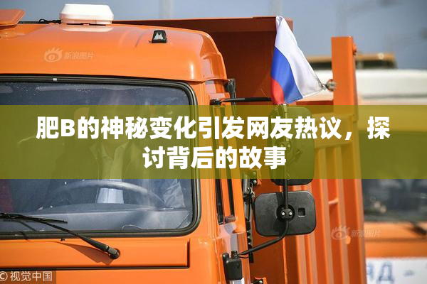 肥B的神秘变化引发网友热议，探讨背后的故事