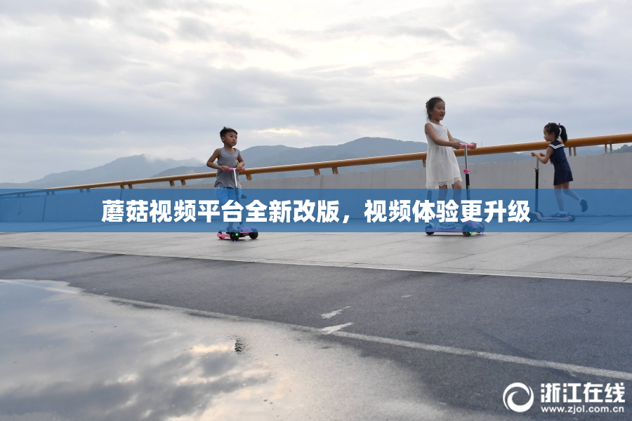 蘑菇视频平台全新改版，视频体验更升级