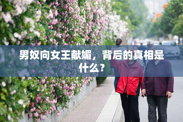 男奴向女王献媚，背后的真相是什么？