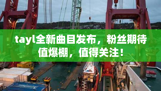 tayl全新曲目发布，粉丝期待值爆棚，值得关注！