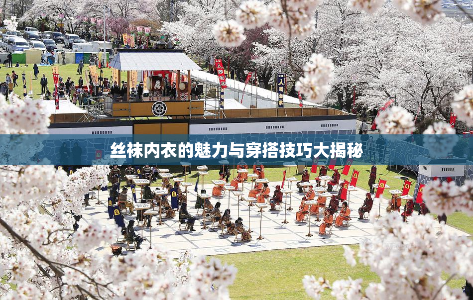 丝袜内衣的魅力与穿搭技巧大揭秘