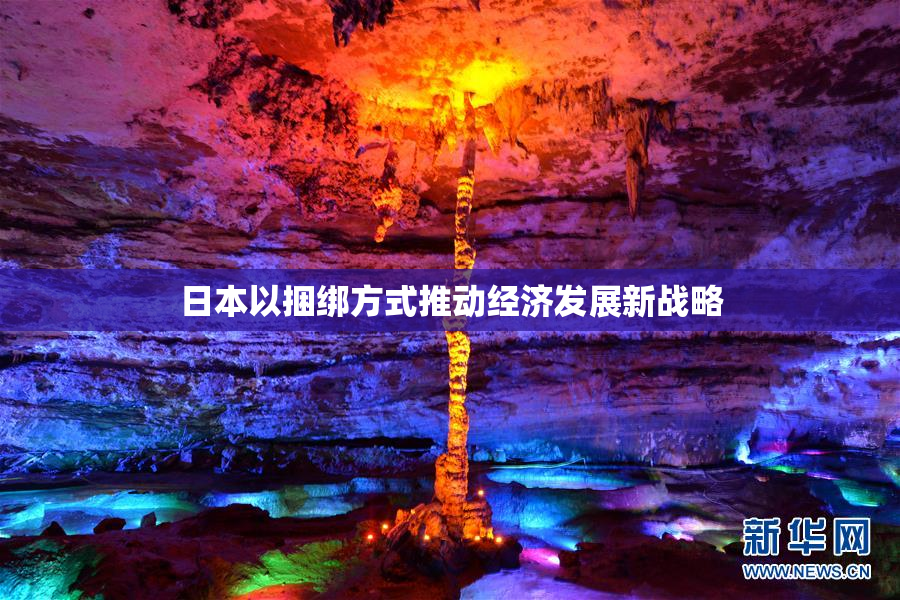 日本以捆绑方式推动经济发展新战略