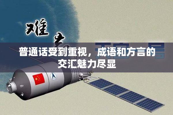 普通话受到重视，成语和方言的交汇魅力尽显