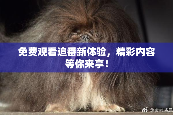 免费观看追番新体验，精彩内容等你来享！