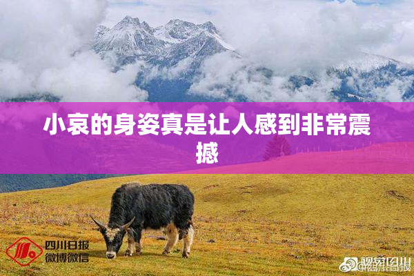 小哀的身姿真是让人感到非常震撼