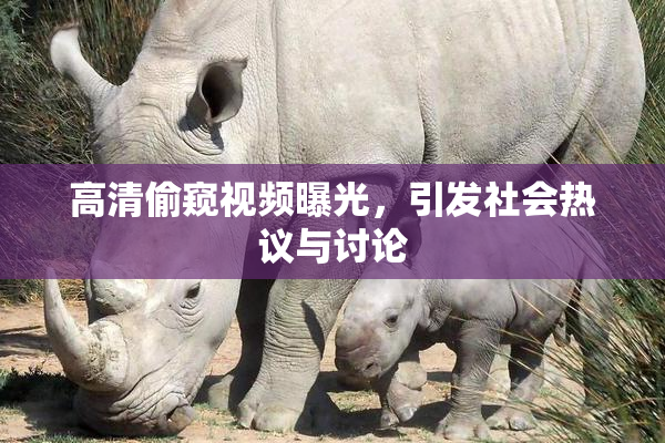 高清偷窥视频曝光，引发社会热议与讨论