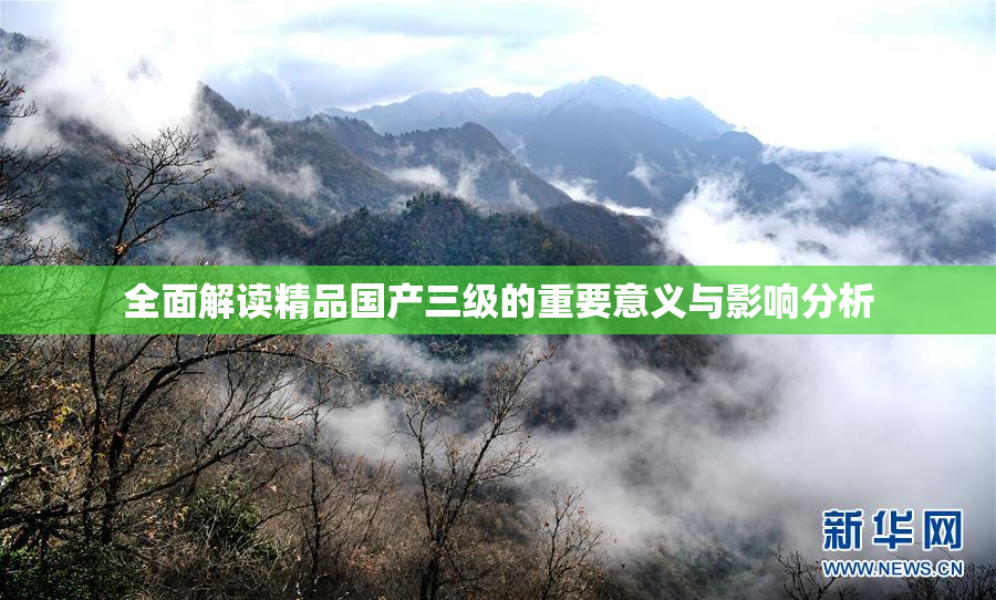 全面解读精品国产三级的重要意义与影响分析