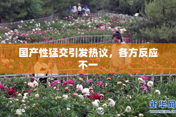 国产性猛交引发热议，各方反应不一