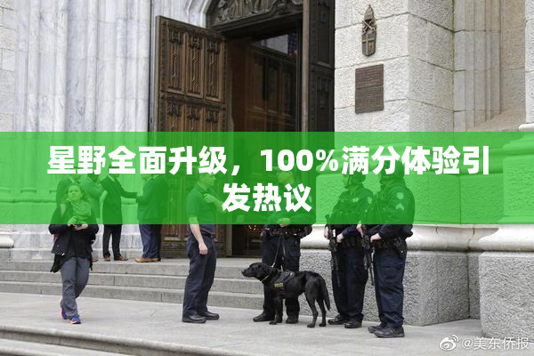 星野全面升级，100%满分体验引发热议