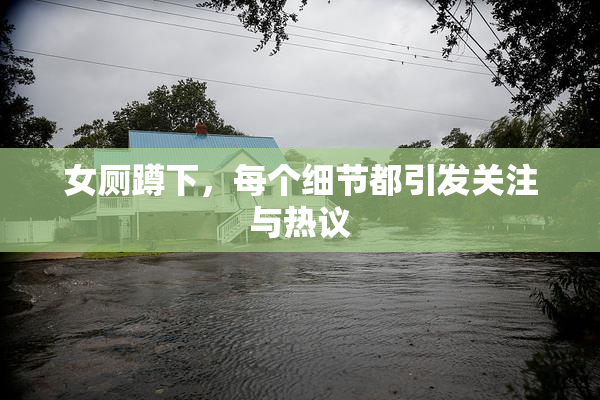 女厕蹲下，每个细节都引发关注与热议