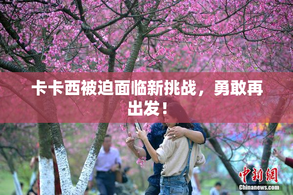 卡卡西被迫面临新挑战，勇敢再出发！