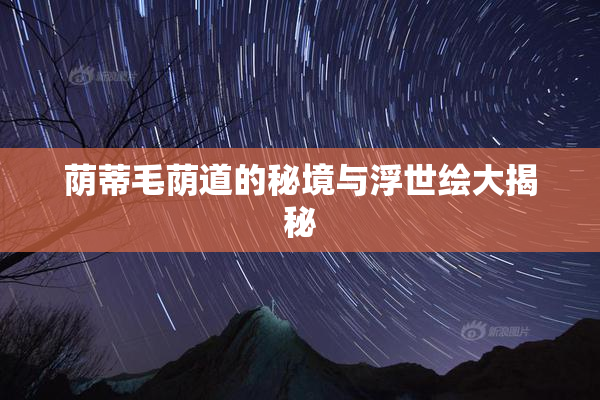 荫蒂毛荫道的秘境与浮世绘大揭秘