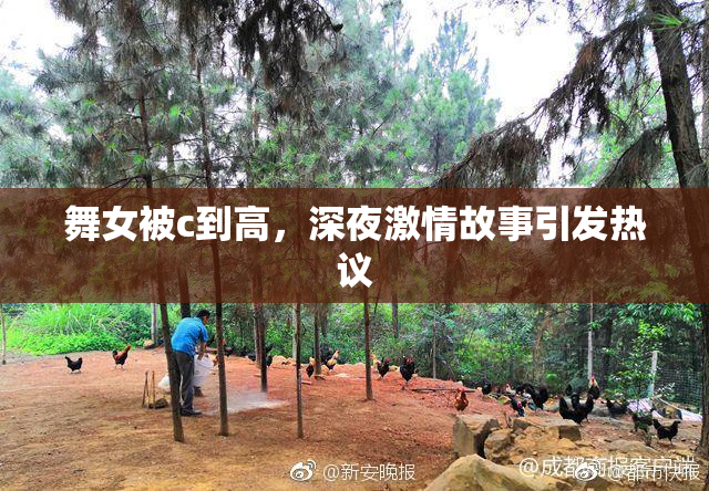 舞女被c到高，深夜激情故事引发热议