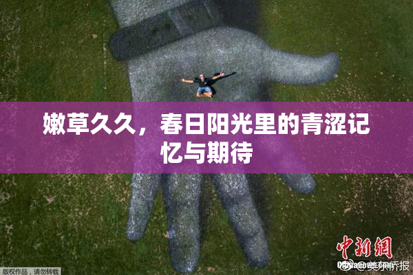 嫩草久久，春日阳光里的青涩记忆与期待