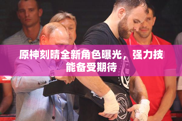 原神刻晴全新角色曝光，强力技能备受期待