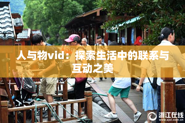 人与物vid：探索生活中的联系与互动之美