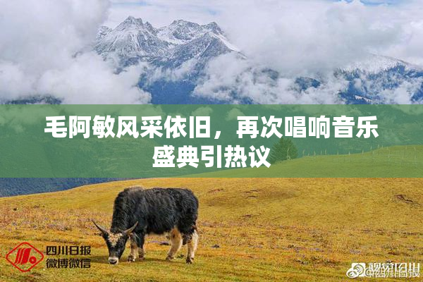 毛阿敏风采依旧，再次唱响音乐盛典引热议