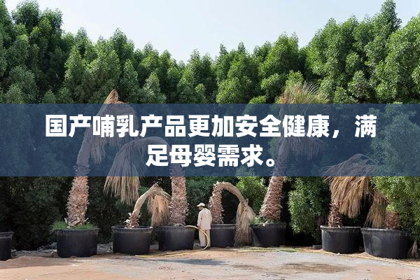 国产哺乳产品更加安全健康，满足母婴需求。