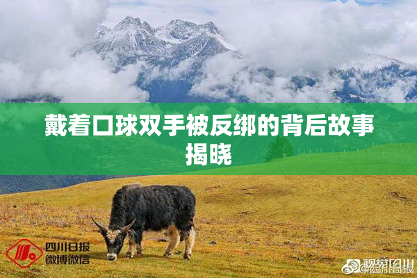 戴着口球双手被反绑的背后故事揭晓