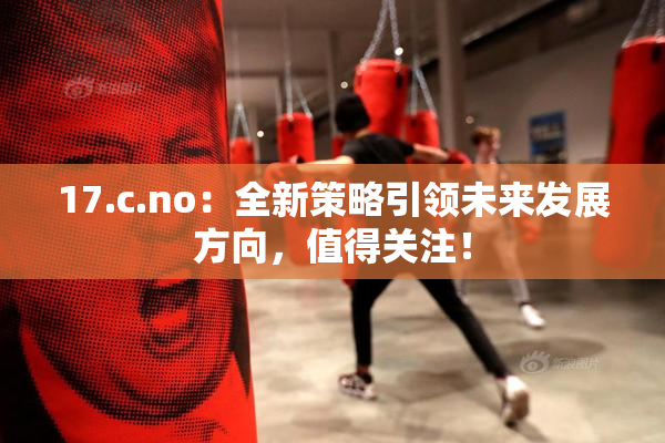 17.c.no：全新策略引领未来发展方向，值得关注！
