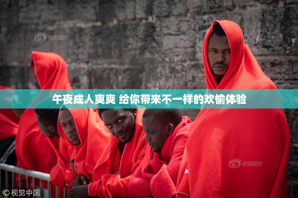 午夜成人爽爽 给你带来不一样的欢愉体验