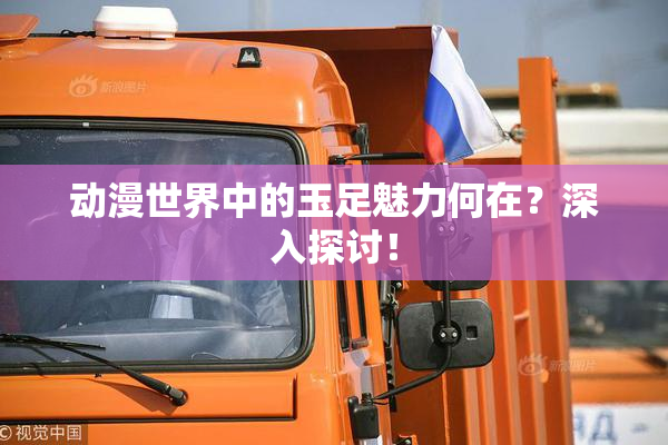 动漫世界中的玉足魅力何在？深入探讨！