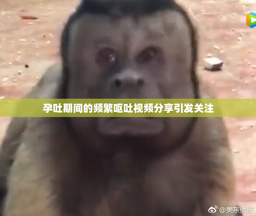 孕吐期间的频繁呕吐视频分享引发关注